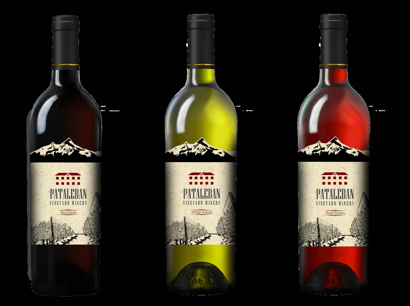 Pataleban Vineyard Winery work
